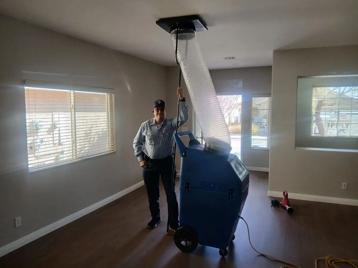 Professional Dryer Vent Cleaning work inside a Edwardsville home